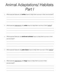 Animal Adaptations Report Informative Writing Informational Writing Informative Paragraph Animal Adaptations