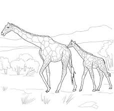Mother And Baby Giraffe Coloring Page Giraffe Coloring Pages Baby Coloring Pages Baby Elephant Drawing