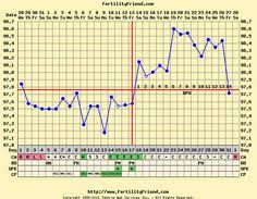 Common Fertility Myths Very Important Every Woman Should