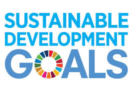 Why is the dsdg important to the 2030 agenda? Die Globalen Nachhaltigkeitsziele Sustainable Development Goals Sdg Bund E V