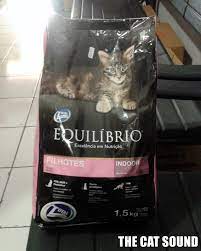 We did not find results for: The Cat Sound Review Makanan Kucing Equilibrio Kitten Indoor Dry Food
