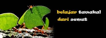 Hakikat tawakal adalah benarnya penyandaran hati kepada allah swt dalam meraih maslahat dan menolak madarat dari urusan dunia dan akhirat; Tawakal Rahasia Terbesar Kesuksesan Muslim Catatan Neng Tanti