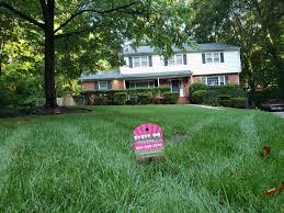 Overseeding is the process of planting grass seeds over your existing grass to create a thicker, healthier lawn. Aeration And Overseeding Here Are All Of Your Questions Answered