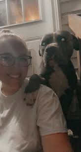 Animals Lost & Found Springfield OH & Surrounding Areas