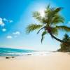Für einen urlaub im sommer ist das mediterrane klima der schwarzmeerküste zwischen mai und oktober ideal. Https Encrypted Tbn0 Gstatic Com Images Q Tbn And9gctmheryn9l84gd3he52efr9g7ezwmg Fa3atxfcduzgbml86hoo Usqp Cau