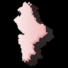 Encuestas de salida por elecciones 2021. Elecciones Locales Extraordinarias Nuevo Leon 2018 Instituto Nacional Electoral
