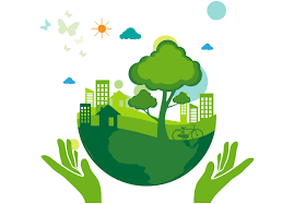 Maybe you would like to learn more about one of these? Luxury Green Cleaning Services Nyc Eco Cleaning Of Your House