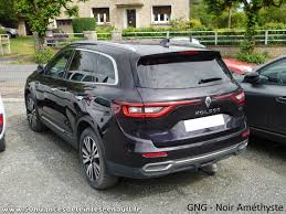 Image result for Amethyste Nacre 1995 Renault