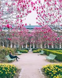 Les Jardins Du Palais Royal Palais Royal Gardens By Mary Quincy Royal Garden Paris Roads Palais Royal