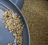 Coffee Color Sorter MINI-125 | Coffee Machines Sale