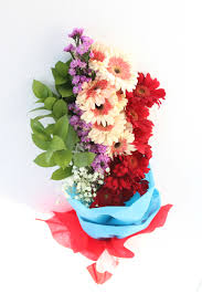 TOKO BUNGA GERBERA RANCASARI, BANDUNG