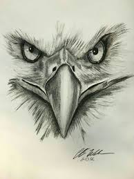 Pin By Erwin Pop On Eagles Eagle Drawing Eagle Art Art Drawings
