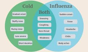 flu symptoms the key differences between the flu and common