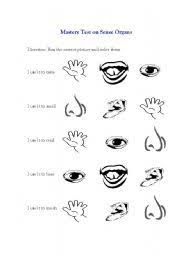 English Teaching Worksheets Sense Organs 1st Grade Worksheets Teaching Grade Vocabulary Worksheets