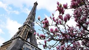 Jun 05, 2021 · d'une hauteur de 28 mètres, composée de huit étages et d'une superficie de 88 m² au c?ur d'un terrain de 600 m², sa « maison tour eiffel », peinte en noir et blanc, détonne dans le paysage. Jeux Olympiques Le Grand Drapeau Sur La Tour Eiffel N A Pas Ete Deploye Linfo Re France Faits Divers