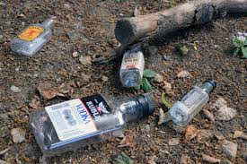 Small Alcohol Bottles Survey City Of Cambridge Ma