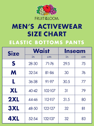Champion Sweatpants Size Chart Rldm