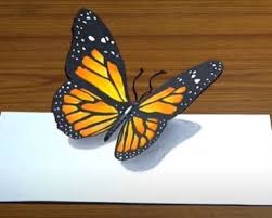 How to draw a luna moth. How To Draw A Butterfly Step By Step With Pencil Archives How To Draw Step By Step