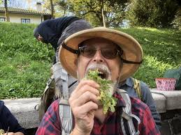 Herb Lore: Why it's okay to eat off the ground in New York City