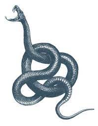 Earth Snake Tattoo In 2021 Snake Tattoo Snake Snake Tattoo Ideas