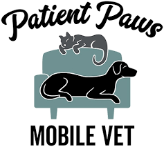 We brought our dog in with a. Patient Paws Mobile Vet