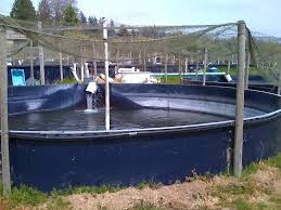 Aquacare System Aquaculture Aquaponics Fish Farming Aquaponics