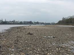Snorkeling in port elizabeth ensures you get exactly this kind of experience. Rhine S Low Water Levels Disrupted Shipping In Europe