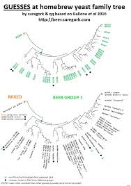 Decoding White Labs Strains From Gallone Et Al 2016