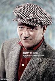 2,361 Wayne Ireland Stock Photos, High-Res Pictures, and Images