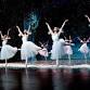 The Nutcracker