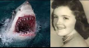 The shark bit into the vessel, then swam away, leaving behind two great big  teeth.