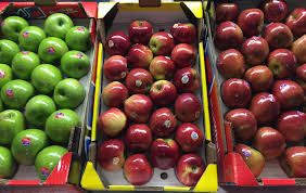 Последние твиты от blue whale global (@bluewhalefdn). Wellocks On Twitter Enter A Dish Using Blue Whale Apples For A Chance To Win A Trip To France Choose From Granny Joya Or Braeburn Now Wellocks Apple Https T Co Ymqd21v47e