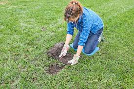 This Is The Absolute Best Time To Lay Sod Sod Lawn Care Patio Landscaping