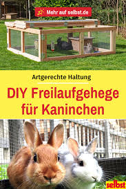 Freilaufgehege Kaninchen Selbst De Freilaufgehege Kaninchen Kaninchen Kaninchengehege