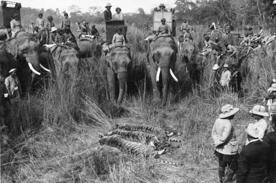 How the British Turned Hunting into a Tool of Colonial Rule