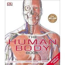 Good to refer back to and understanding origin, movement and position of muscles. The Human Body Book An Illustrated Guide To Its Structure Function And Disorders Hardcover Walmart Com In 2021 The Body Book Human Body Anatomy And Physiology