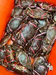 Cara mendapatkan uang 50 juta dalam sehari. Cara Nak Matikan Ketam Nipah Dengan Mudah Dan Cepat Aku Sis Lin