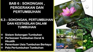 Sains tingkatan 2 kssm 2019. Sains Tingkatan 4 Kssm I Bab 6 I 6 3 Sokongan Pertumbuhan Dan Kestabilan Tumbuhan Youtube