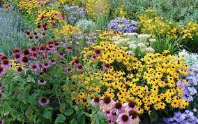 Tall perennial flowers for partial shade. 15 Tall Perennial Flowers To Add Vertical Interest To Your Garden