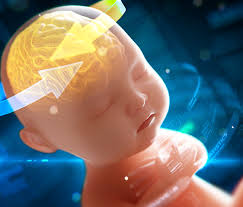 Inicio Regenesis Max