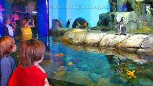Monterey Bay Aquarium Discount Tickets Aquarium Coupons Aaa Seize The Day Monterey Monterey Bay Aquarium Monterey Bay Socal Road Trip
