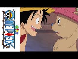 Diana perez/ karina altamirano roronoa zolo, genzo, hiriluk, pell: One Piece 4kids Dub Luffy Asks Chopper To Join The Crew Youtube