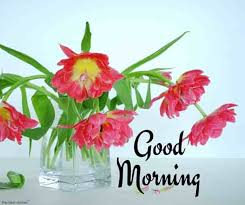 Check spelling or type a new query. 150 Beautiful Good Morning Images Best Collection