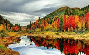 Image result for ‫پاییز‬‎