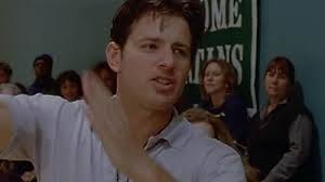 Picket Fences (TV Series 1992–1996)