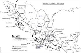 Image result for Gossypioides