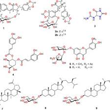 Image result for Justicia engleriana