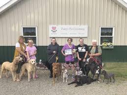 Maybe you would like to learn more about one of these? Https Www Observertoday Com News Vision 202 2020 04 Pattys Pet Grooming Loves Your Pets As Much As You