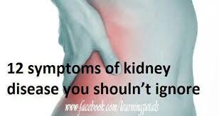 Symptoms On Kidney Stones Kidney Disease Awareness Kidney Disease Symptoms Kidney Disease