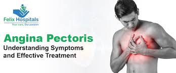 Image result for Angina Pectoris